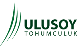 Ulusoy Tohumculuk